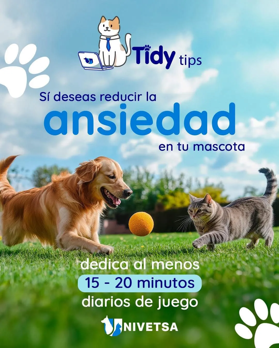 UNIVETSA distributor-focused campaign