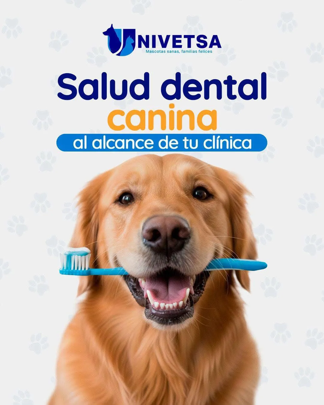 UNIVETSA — case study cover